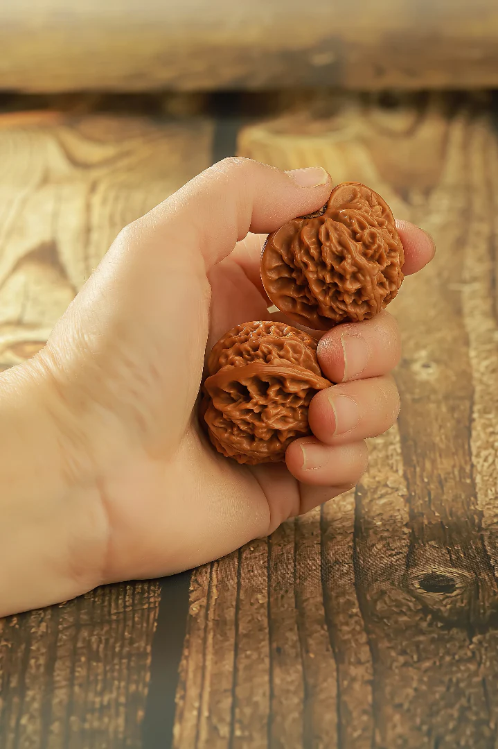 Lantern PanPan Walnuts - Image 4