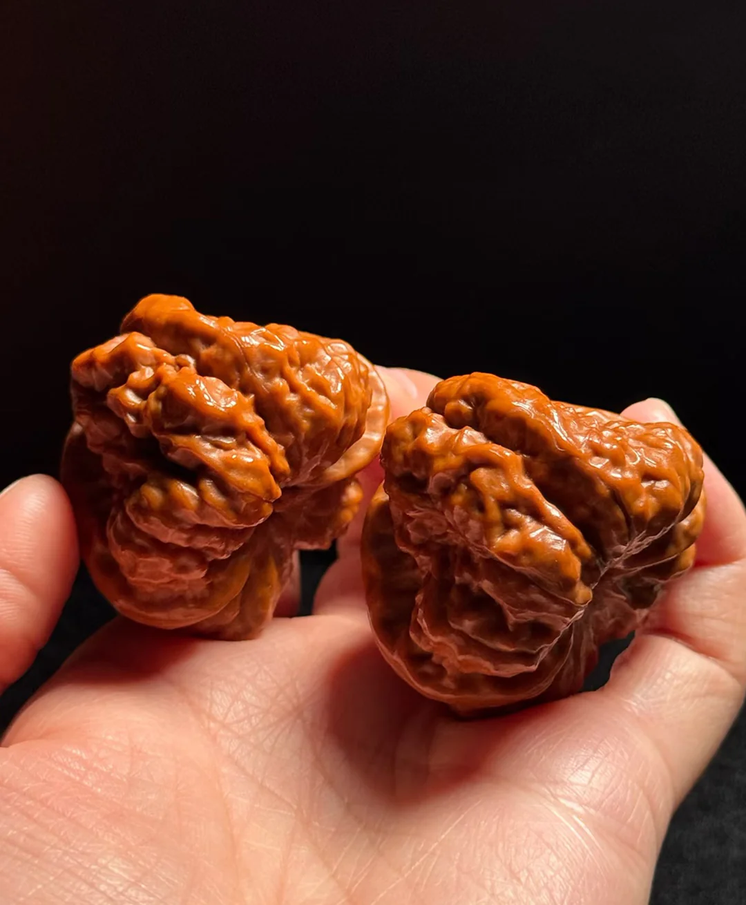 PanPan Walnut Blind Box - Image 7