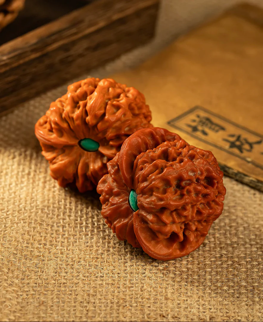 Starfield PanPan Walnuts - Image 4